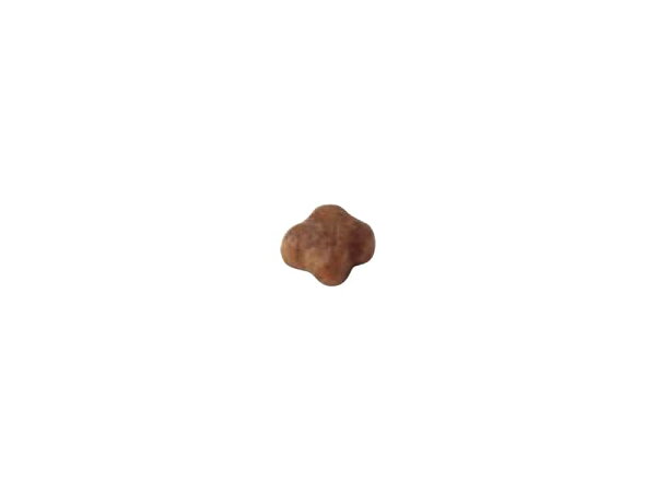 【エントリーでポイント+6.5倍！本日限定！】ロイヤルカナン 猫 キャットフード マザー＆ベビーキャット 2kg 正規品 猫用品/ねこグッズ/ペットグッズ/ペット用品