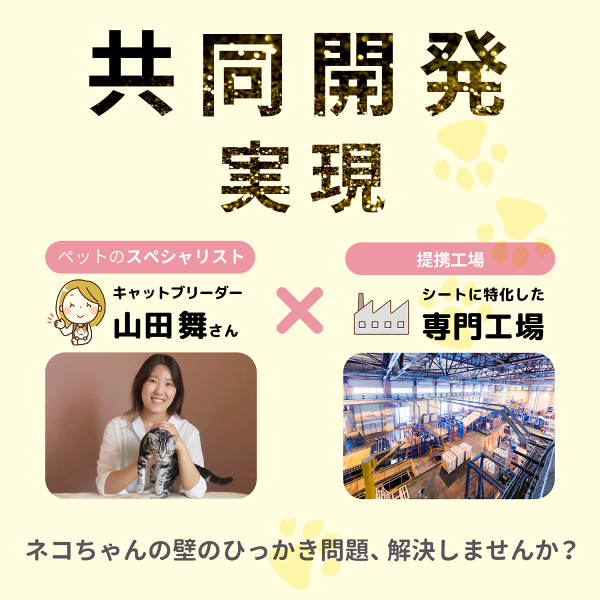 楽天1位!!【 はがしても跡が残らない！賃貸OKの壁保護シート 】キャットブリーダー監修 猫 壁紙保護シート フィルム 選べる6サイズ 高評価 はがせる 賃貸OK 撥水加工 目盛り 半透明 目立たない 爪とぎ防止 壁紙 お試し 大容量 BOOMIE