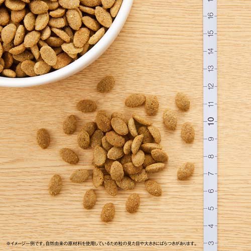 ニュートロ シュプレモ 超小型犬〜小型犬用 体重管理用 3kg 成犬用 ドッグフード(3kg)【d_nutro】【シュプレモ(Supremo)】[ドッグフード]