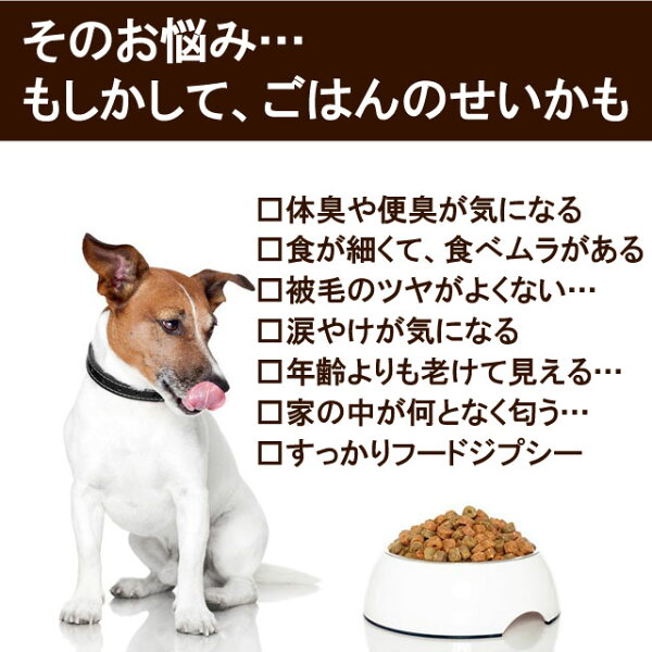 ドッグフード お試しフルセット ドライフード&レトルトフード7種9点入り【送料無料】|ドッグフード 国産 無添加 お試し サンプル セット 犬 ペットフード 全年齢対応 全犬種対応 ドライ シニア 幼犬 子犬 パピー 小型 成犬