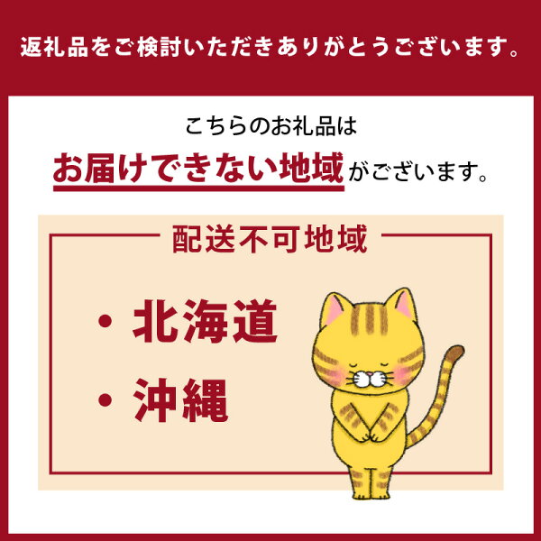 【ふるさと納税】猫の爪とぎ 穴あき枕【全16色から選択】クラフト工房 クレアル 愛猫 爪とぎ ペット用品 ペット用玩具 日用品 送料無料