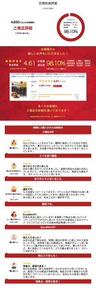 ＼ ロングセラー 32万 ケース 突破 ／ ペットシーツ 厚型 炭入り消臭 レギュラー ワイド スーパーワイド 1ケース【犬用】 [トイレシート] まとめ買い オリジナル ペットシート トイレシーツ ペッツビレッジクロス 送料無料