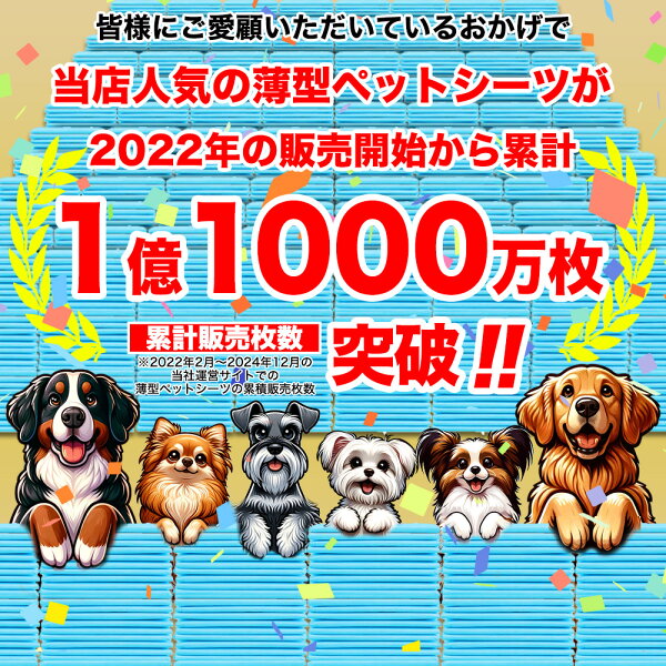 ペットシーツ 薄型 ワイド 400枚 レギュラー 800枚 スーパーワイド200枚 トイレシーツ 大容量 まとめ買い 業務用 ペット用 ペットシート トイレシート 犬 猫 ペット用 ペットシート ワイドシーツ おしっこシート