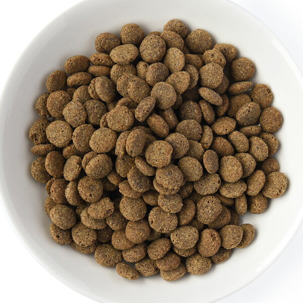 \最大1000円オフクーポン配布中 3日21時〜11日1時59分まで使用可能/ 【POCHI公式】POCHI 食事療法食 消化器ケア 低脂肪 フレッシュターキー 3kg ポチ ドッグフード 犬のごはん 七面鳥 dog 膵炎 胆泥症 高脂血症 低脂肪食 消化器サポート