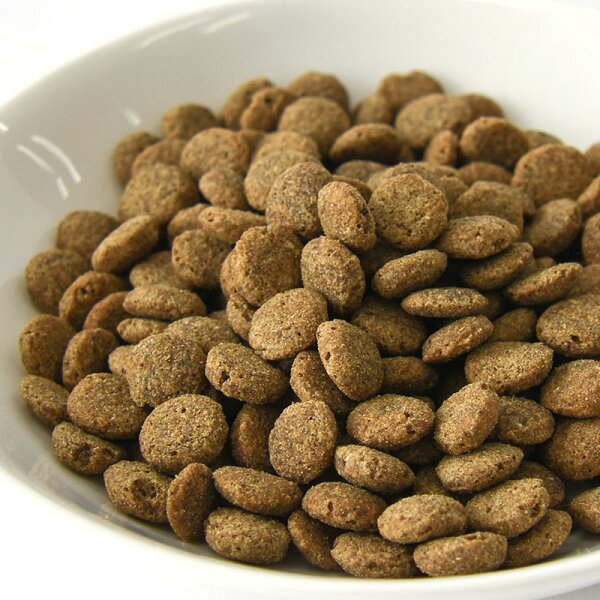 \最大1000円オフクーポン配布中 3日21時〜11日1時59分まで使用可能/ 【POCHI公式】POCHI 食事療法食 消化器ケア 低脂肪 フレッシュターキー 3kg ポチ ドッグフード 犬のごはん 七面鳥 dog 膵炎 胆泥症 高脂血症 低脂肪食 消化器サポート