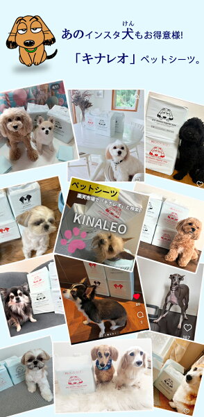 3つのサイズと2つの厚みから選べる　犬用 トイレシート　薄型レギュラー800枚／薄型ワイド400枚／薄型スーパーワイド200枚／厚型レギュラー400枚／厚型ワイド200枚／厚型スーパーワイド104枚 ペットシーツ ワイド レギュラー スーパーワイド/キナレオ KINALEO