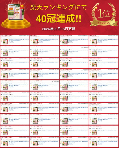 ポイント全品2倍！3/1限定 公認店 ニュートロ ナチュラル チョイス 小型犬用 成犬用 生後8ヶ月以上 チキン＆玄米 3kg ごはん ご飯 ナチュラルチョイス NATURAL CHOICE ドッグフード