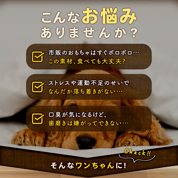 犬 天然木 おもちゃ 噛む コーヒーウッド 木 ささくれにくい かじり木 怪我防止 玩具 硬い 超小型犬 小型犬 ドッグトイ デンタルケア